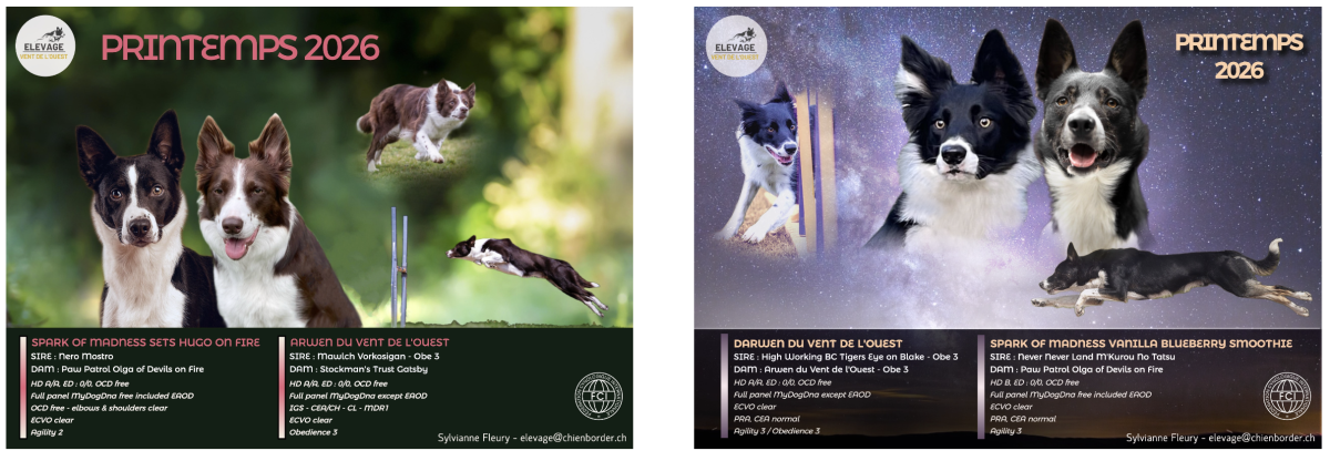 Portées prévues – Printemps 2026